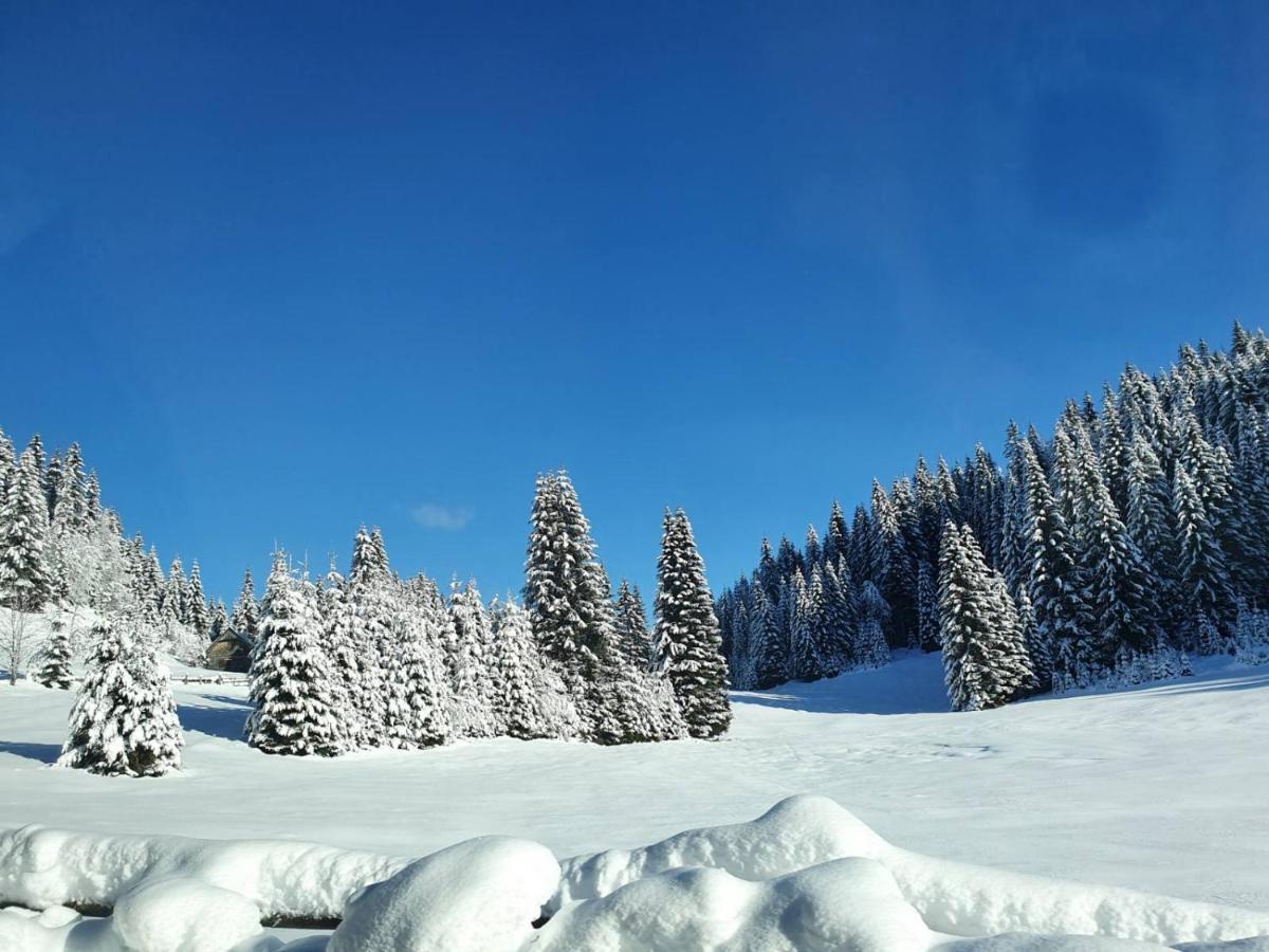 Zalin Planinski Raj Goreljek Buitenkant foto